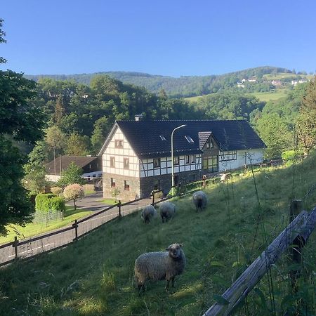 זימראת' Berg Blick Eifler Bauernhaus Modern Restauriert מראה חיצוני תמונה