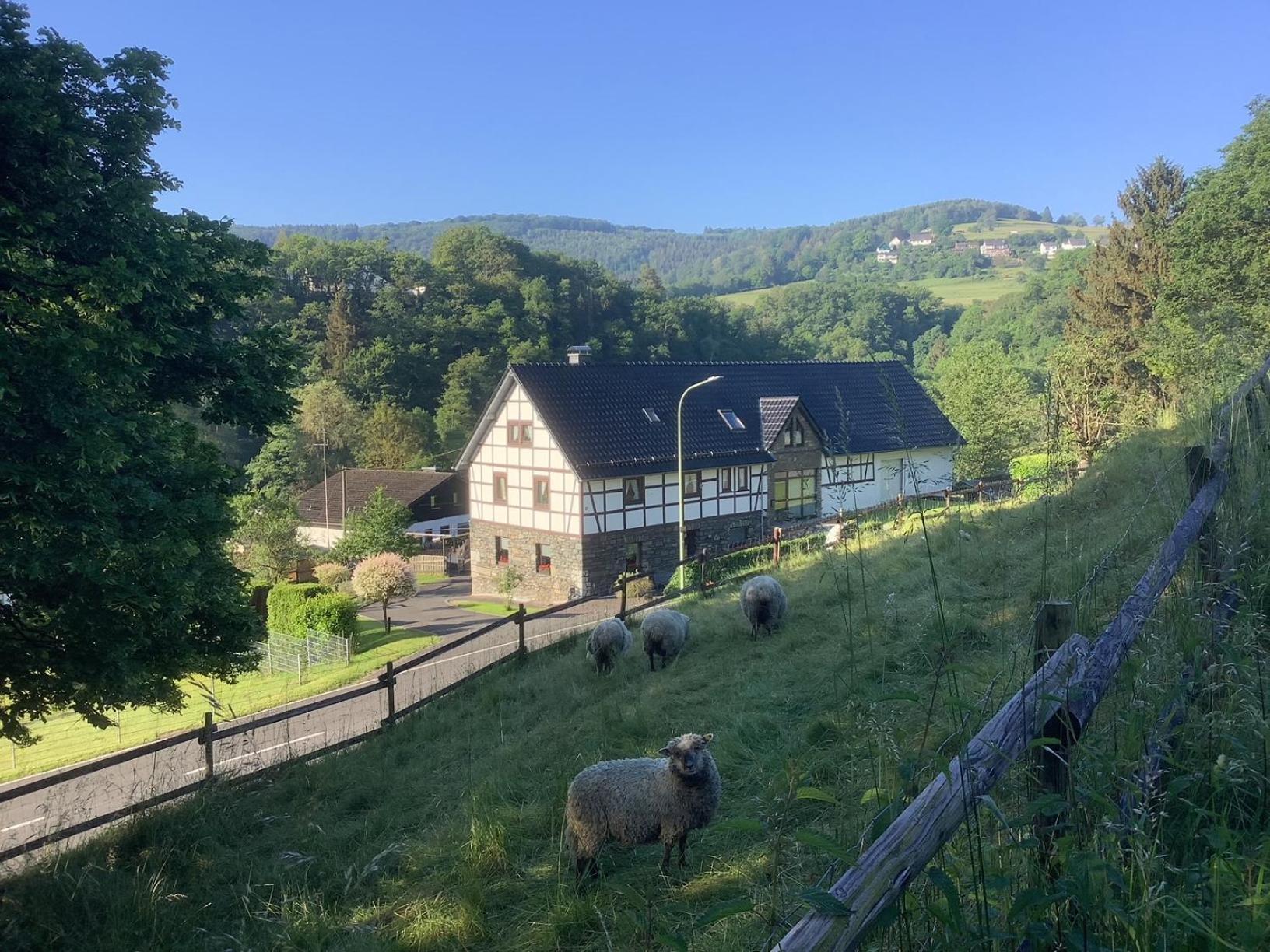 זימראת' Berg Blick Eifler Bauernhaus Modern Restauriert מראה חיצוני תמונה